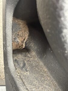 Car interior before pet hair removal in Bath Maine