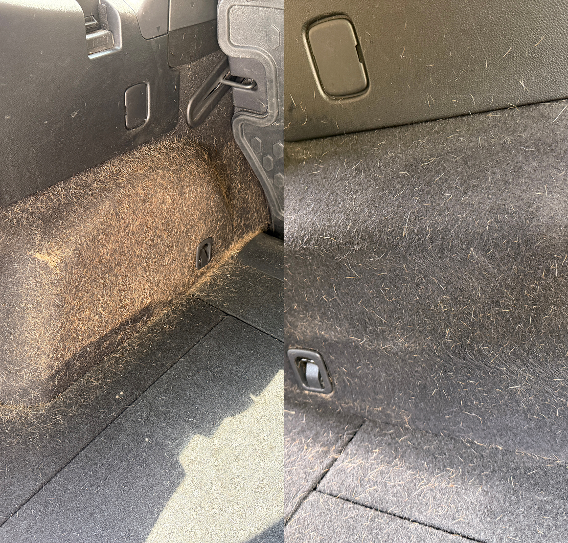 Car trunk carpet deep cleaning